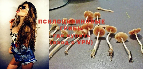 круглые Алзамай