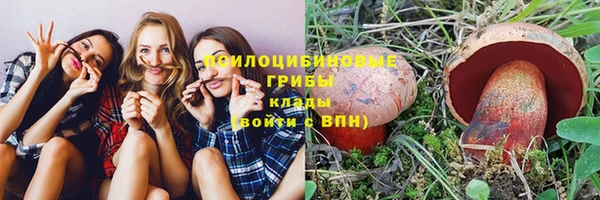 гидропоника Алексин
