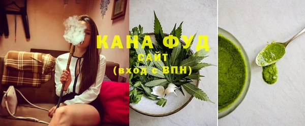 соль ск Инсар