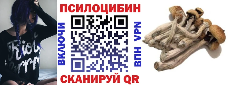 Галлюциногенные грибы MAGIC MUSHROOMS  MEGA ссылка  Чулым  даркнет сайт 